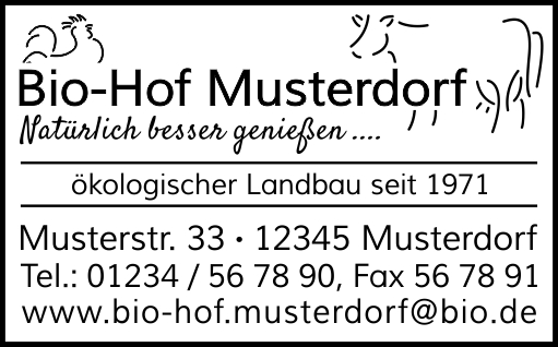 Colop Classic Line 2600 Textstempel 58x37 mm BLAU